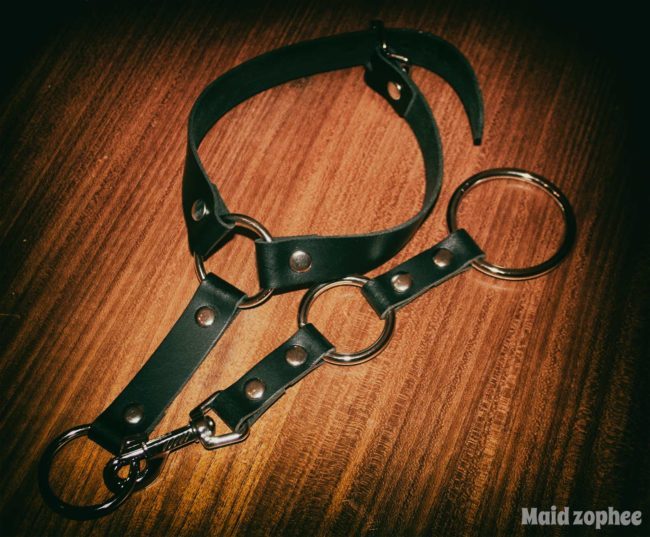 Foto Halsband und Leine von Stillbound.etsy.com