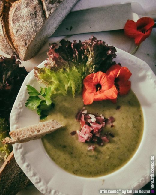 Teller mit Sauerampfersuppe und Garnitur aus Blüten und Salat 